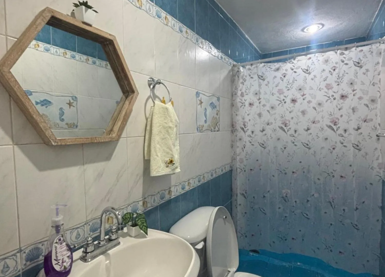 Apartment Natalia In Isla Mujeres Main Street 0*,